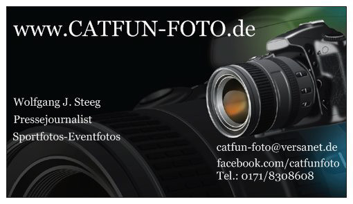 Catfun-Foto