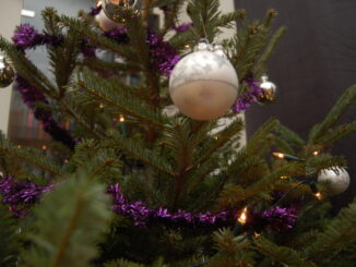 Symbolbild: Christbaumkugel an einem Weihnachtsbaum