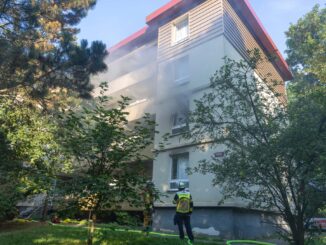 Brand im Schopenhauerweg im Juli 2026
